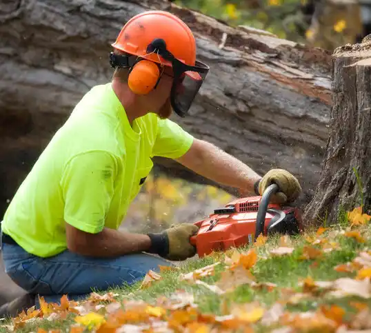 tree services Thoreau